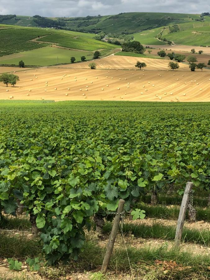 Sancerre Sunflower - Tournesol De ซ็องแซร์ ภายนอก รูปภาพ